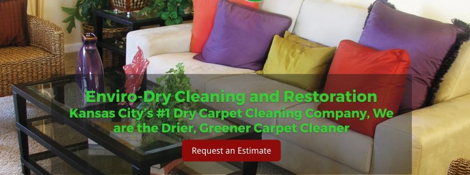 Enviro Dry Cleaning and Restoration - profile image