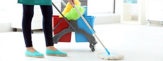Ann Maids Cleaning Services - profile image