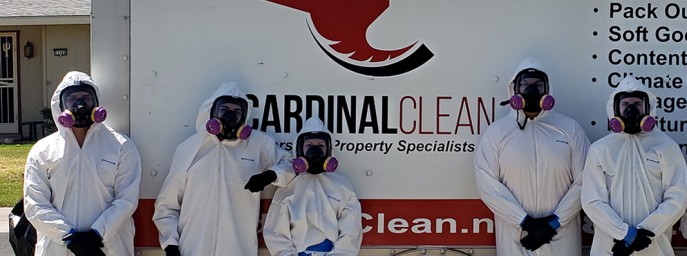 Cardinal Clean - profile image
