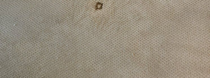 Seattle Carpet Re-Stretch and Repair - profile image
