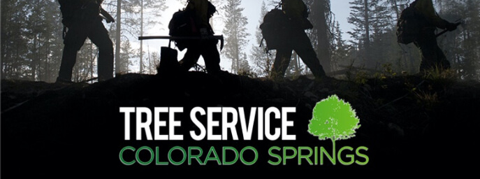 Tree Service Colorado Springs - profile image
