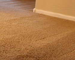 New Mexico Carpet Repair and Cleaning