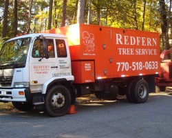 Redfern Tree Service