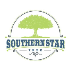 Southern Star Tree