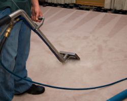 Austin's Young Carpet Cleaning & Repair