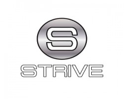 Strive Insurance Group Inc