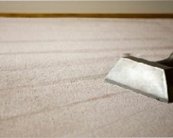 Area Wide Carpet Cleaning