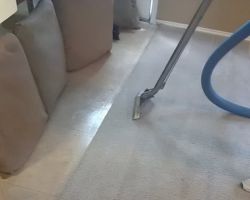 Proteck Carpet & Tile Cleaning