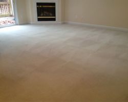 X Treme Carpet Clean