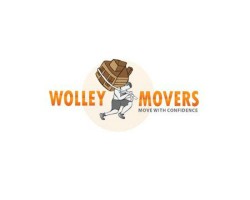 Wolley Movers Chicago