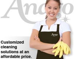 Anago Cleaning Systems