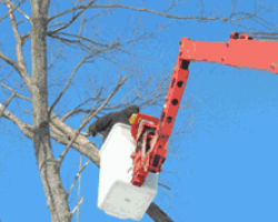 New Heights Tree Service