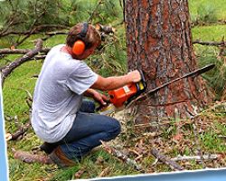 Advanced Tree Service LLC