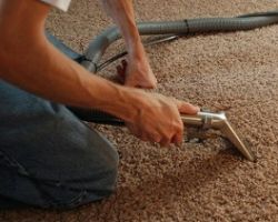 Apex Carpet Cleaning