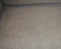 Eco Carpet Cleaning