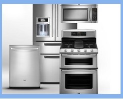 Genesis Appliance Service