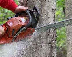 Hulk Tree Service