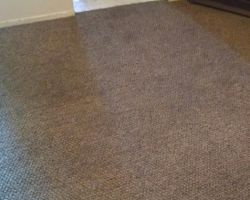 Clean Up Carpet Care