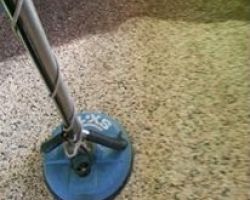 Sterling Carpet Cleaning