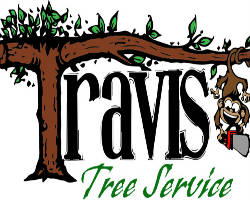 Travis Tree Service