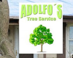 Adolfo Landscape service