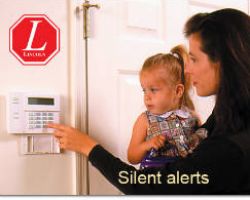 Lincoln Security Systems Inc