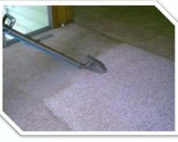 A Plus Carpet Cleaning