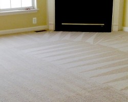 Carlos Carpet Cleaning