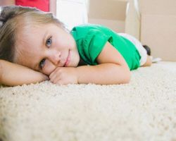 Shook Carpet Cleaning