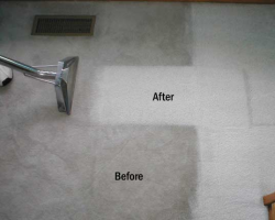 Carol Kings Cleaning LLC