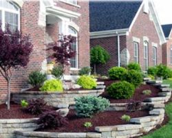 AAA Tree and Landscaping