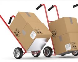 Samonas Prime Moving and Storage Inc