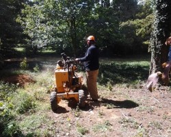 Foree Tree Service