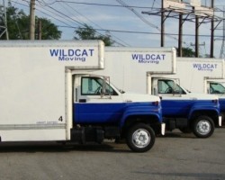 Wildcat Moving