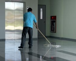 LB Cleaning Services