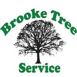 Brooke Tree Co.