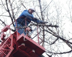 All Seasons Tree Service