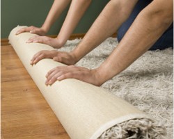 Carpet and Floor Pros