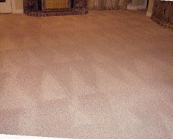 Fast Dry Carpet Cleaning