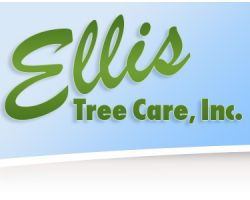 Ellis Tree Care