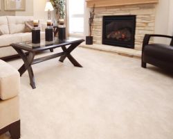 Veteran Carpet Cleaning Service