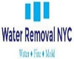 Water Removal NYC