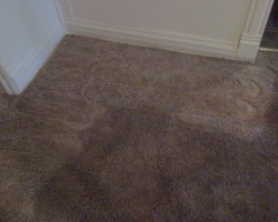 AAA Carpet Cleaning