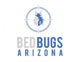 Bed Bugs Arizona