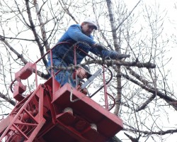 Arbor Art Tree Service LLC