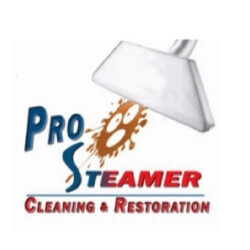 Pro Steamer Cleaning & Restoration