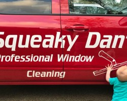 Squeaky Dan's Window Cleaning