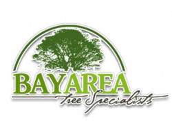 Bay Area Tree Specialists