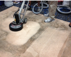 San Diego Carpet Repair & Cleaning