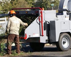 South Coast Tree Service